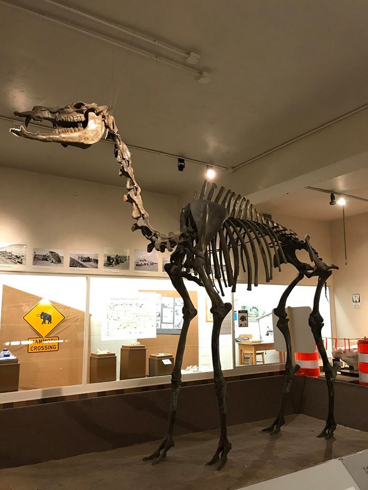 Museum: University of Nebraska State Museum-Morrill Hall